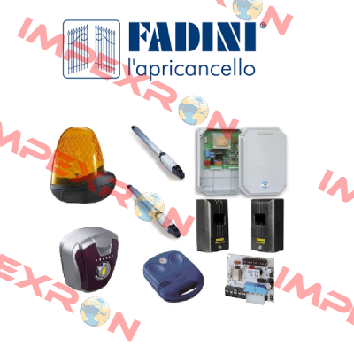 FADINI