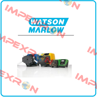 313X Watson Marlow