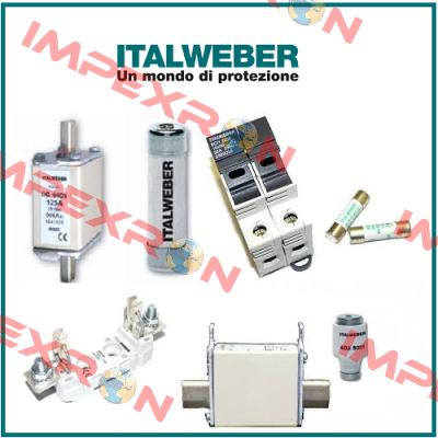 0110080  Italweber