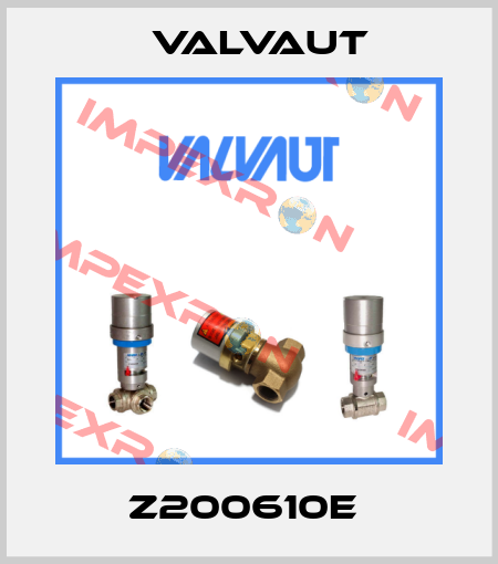 Z200610E  Valvaut