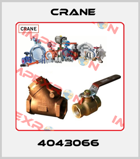 4043066  Crane