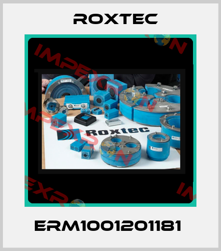 ERM1001201181  Roxtec