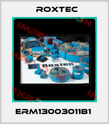 ERM1300301181  Roxtec