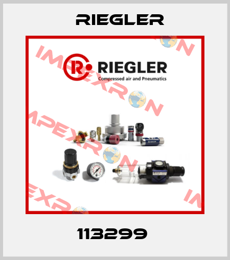 113299  Riegler