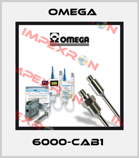 6000-CAB1  Omega