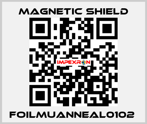 FOILMUANNEAL0102  Magnetic Shield