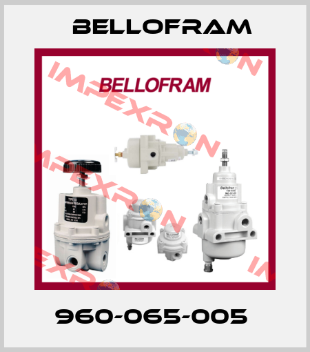 960-065-005  Bellofram