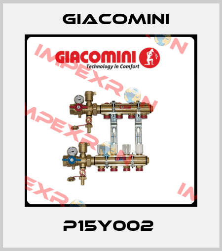 P15Y002  Giacomini