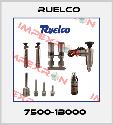 7500-1B000  Ruelco
