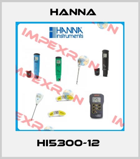 HI5300-12  Hanna