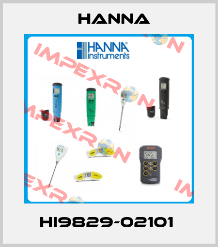 HI9829-02101  Hanna