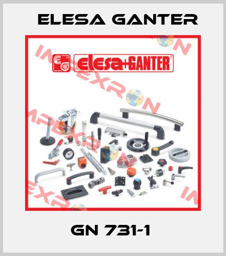 GN 731-1  Elesa Ganter