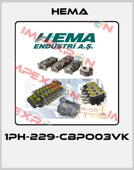1PH-229-CBPO03VK  Hema