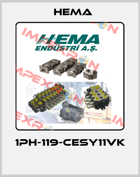 1PH-119-CESY11VK  Hema