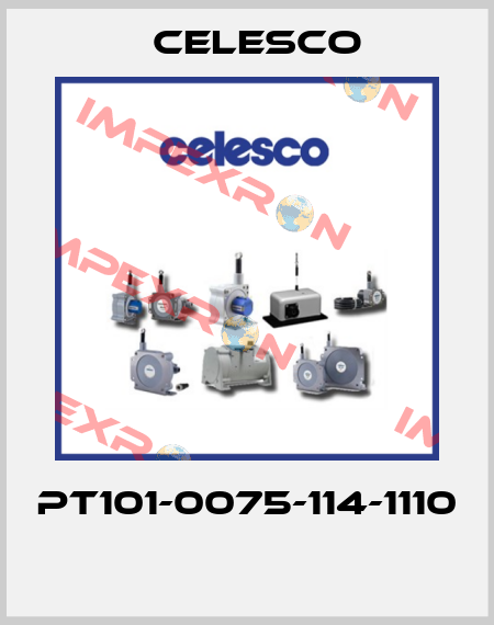 PT101-0075-114-1110  Celesco