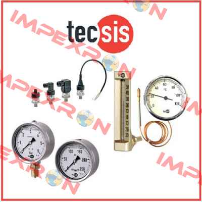 P1534B042901  Tecsis (WIKA Group)