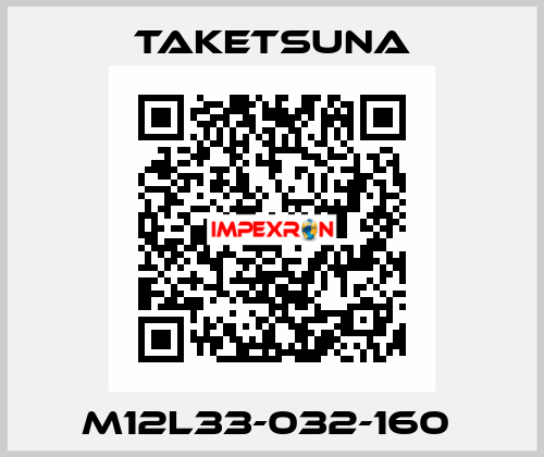 M12L33-032-160  Taketsuna