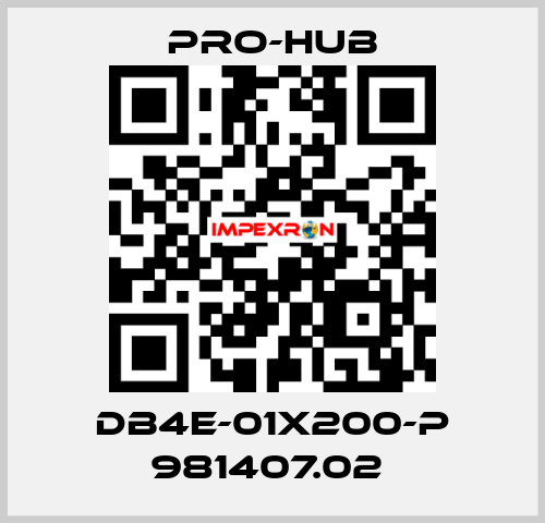 DB4E-01X200-P 981407.02  Pro-Hub