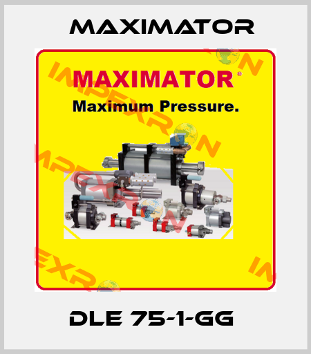 DLE 75-1-GG  Maximator