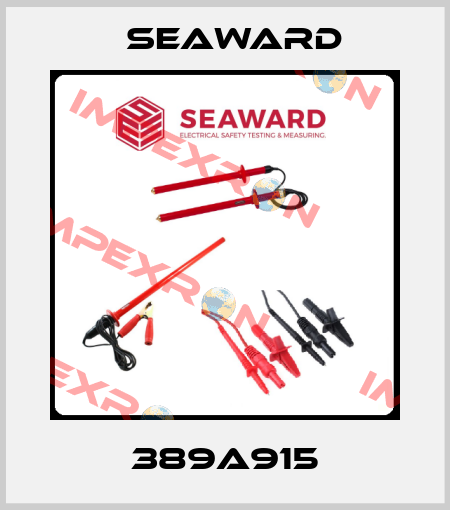 389A915 Seaward