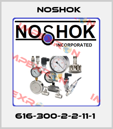 616-300-2-2-11-1  Noshok