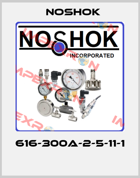 616-300A-2-5-11-1  Noshok