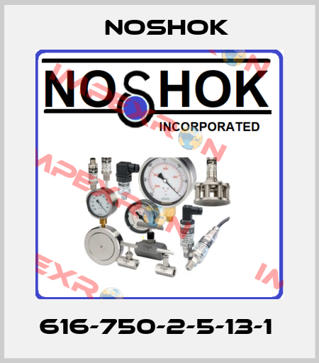 616-750-2-5-13-1  Noshok