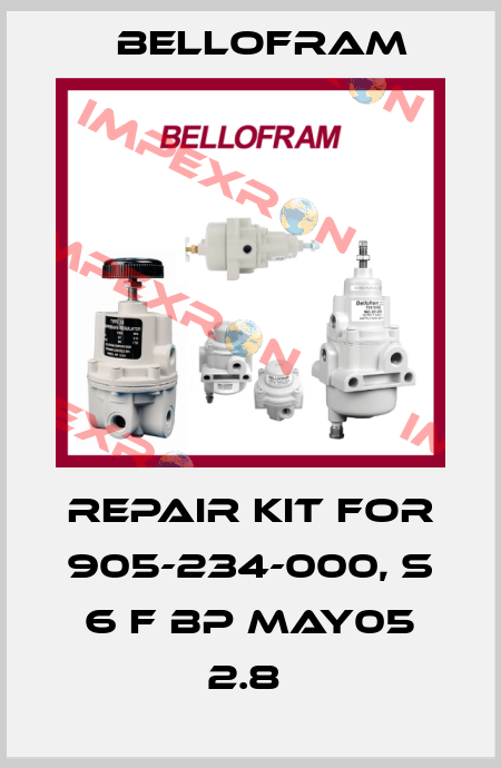 Repair kit for 905-234-000, S 6 F BP MAY05 2.8  Bellofram