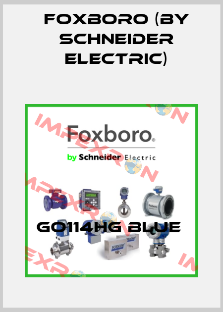 GO114HG BLUE  Foxboro (by Schneider Electric)
