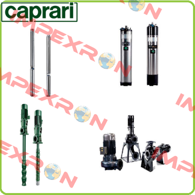 P/N: 811321, Type: CVX051/20+E0300T212-V CAPRARI 