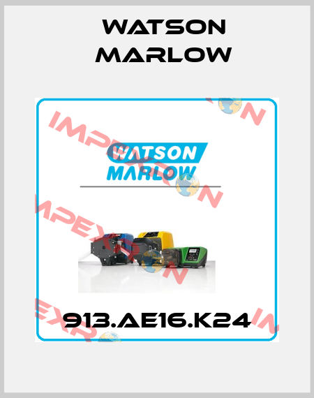 913.AE16.K24 Watson Marlow