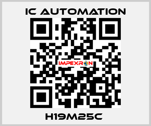 H19M25C  ic automation