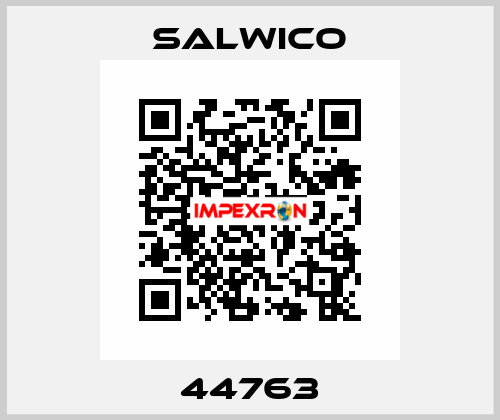 44763 Salwico