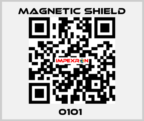 0101  Magnetic Shield