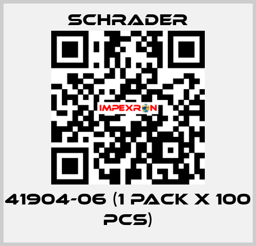 41904-06 (1 pack x 100 pcs) Schrader