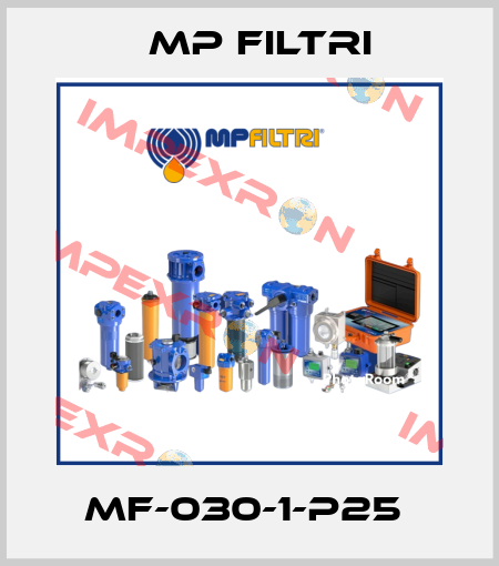 MF-030-1-P25  MP Filtri