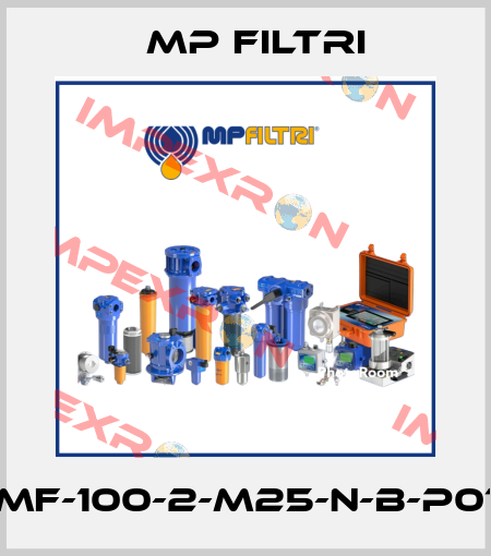 MF-100-2-M25-N-B-P01 MP Filtri