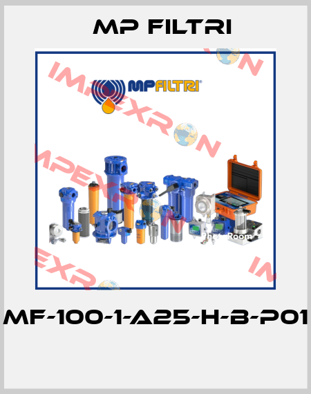 MF-100-1-A25-H-B-P01  MP Filtri