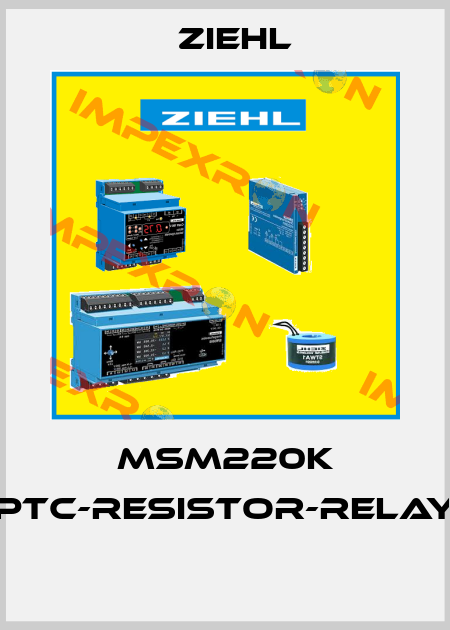 MSM220K PTC-RESISTOR-RELAY  Ziehl