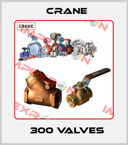 Ǿ 300 VALVES  Crane
