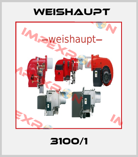3100/1 Weishaupt