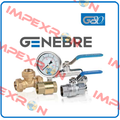 2954 08 (pack x15) Genebre