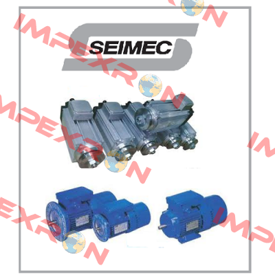 AM90 4/2 (230V), AM90 4/2 (400V) Seimec (Rossi)