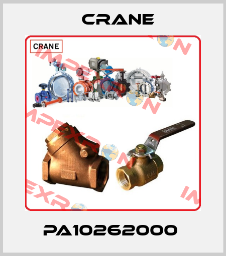 PA10262000  Crane