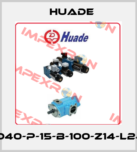 HED40-P-15-B-100-Z14-L24-S Huade