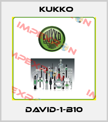 David-1-B10 KUKKO