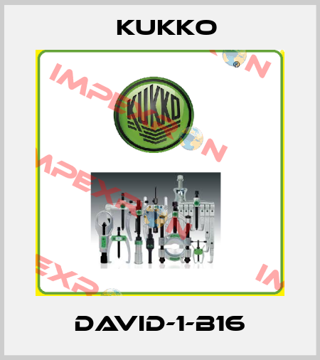 David-1-B16 KUKKO