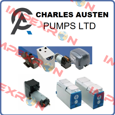 X87-302 Charles Austen Pumps