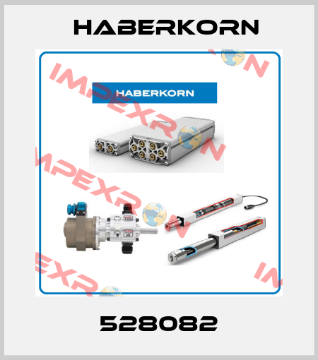 528082 Haberkorn