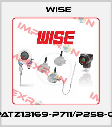 PATZ13169-P711/P258-01 Wise